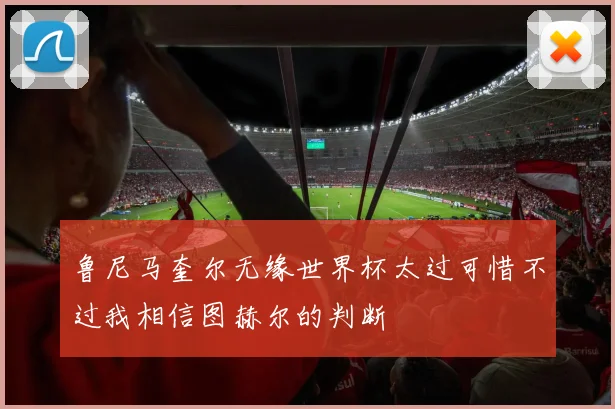 鲁尼马奎尔无缘世界杯太过可惜不过我相信图赫尔的判断