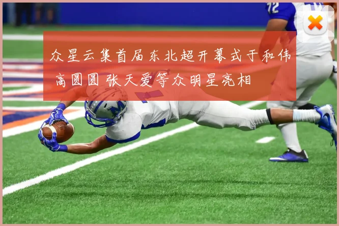 众星云集首届东北超开幕式于和伟 高圆圆 张天爱等众明星亮相